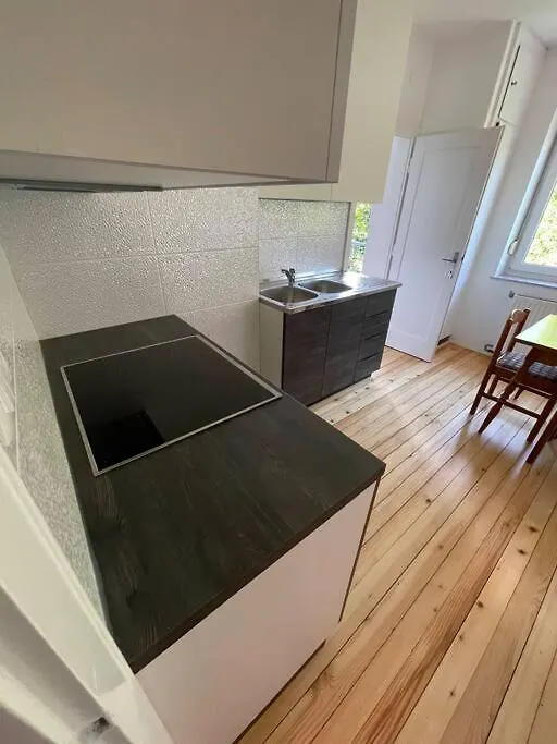 Spacious Apartment - Green & Peaceful Ljubljana